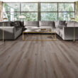 Home with Laminate Flooring