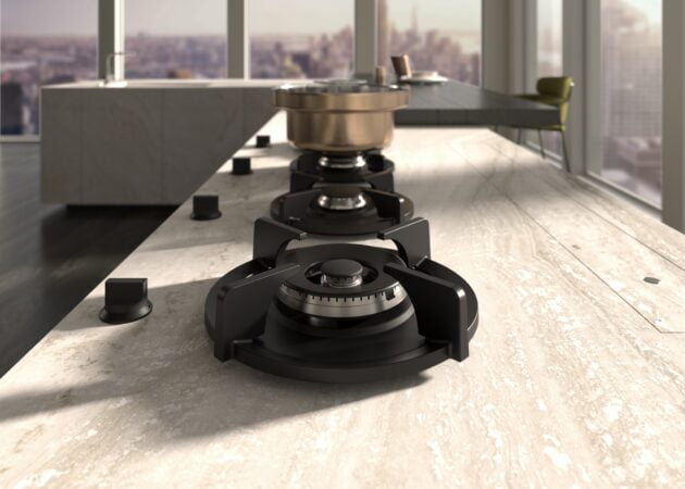 PITT Cooking Danau Model