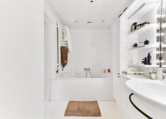 Master Bathroom Ideas