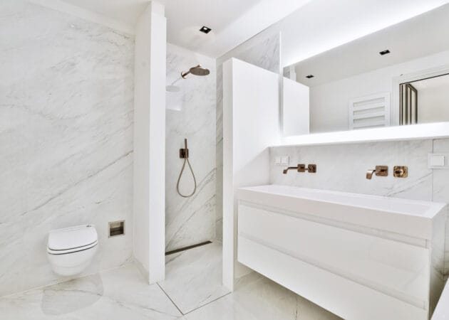 Master Bathroom Ideas