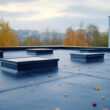 roof materials for flat roof